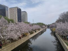 -元大都城垣遗址公园