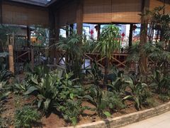 -森谷美食公园(杨行店)