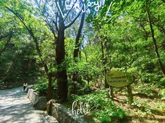 -香山公园