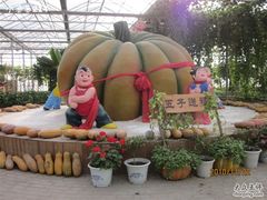 -观光南瓜园
