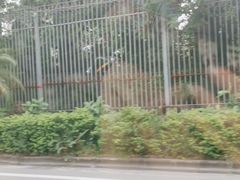 -广州凤凰城酒店-维也纳西餐厅