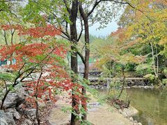 -龙道沟景区