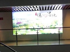 -台儿庄古城