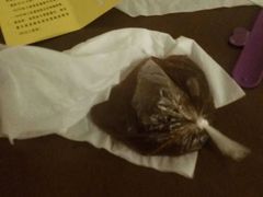 -老妈宫粽球