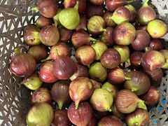 -马陆小张葡萄园农家乐