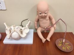 -上海艾儿贝佳妇产科医院