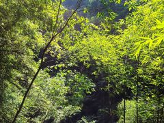 -青龙山国家森林公园