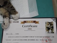 -美迦爱-牙专科·兔科·骨科诊疗中心(北苑店)