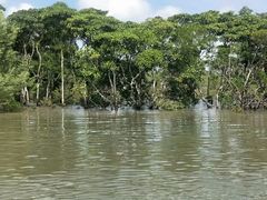 -东寨港红树林旅游区