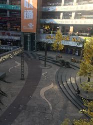 -YESIDO椰岛造型