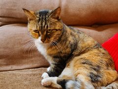 -雕刻时光·咖啡·酒吧·西餐(香山店)