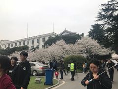 -武汉大学-樱园