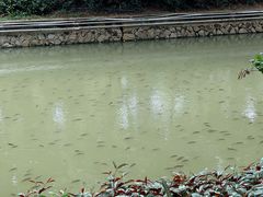 -荔湾湖公园
