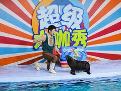 -南昌海洋公园