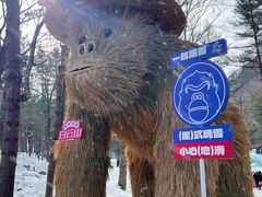 -洛阳白云山景区