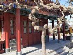 -华清宫景区