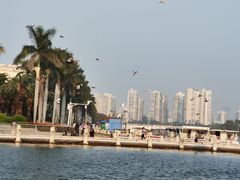-白鹭洲公园