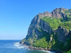 -涉地可支