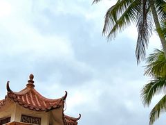 -东郊椰林