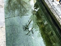 -济南大明湖景区