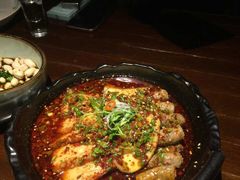 -天山醉美辣子鸡(文艺路店)
