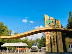 -五营红松林海景区