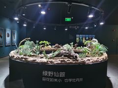 -南宫五洲植物乐园