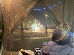 -春花秋色城市公园