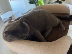 -Me Coffee下午茶艺术空间