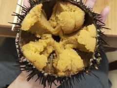 生海胆-海胆小馆(东北水饺·春柳店)