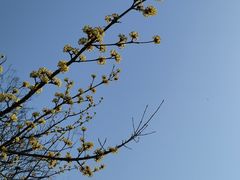 -扬州市茱萸湾风景区