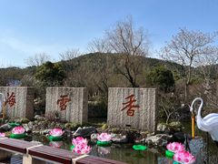 -香雪海