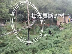 -梦幻奥陶纪景区