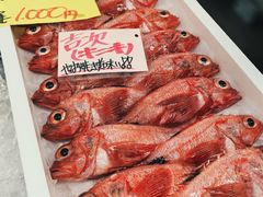 -南纪白浜Toretore市场