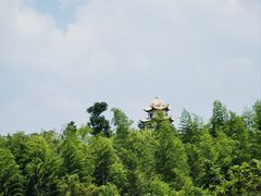 -蔡伦竹海