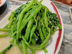 -广东大排档(国奥店)