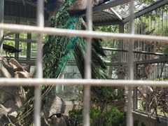-水绘园
