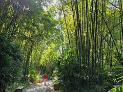 -人民公园(罗湖区)