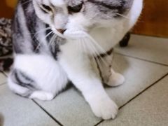 -华春餐馆(鱼山路店)