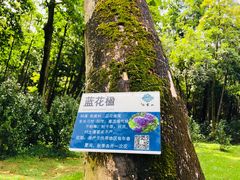 -云溪植物园