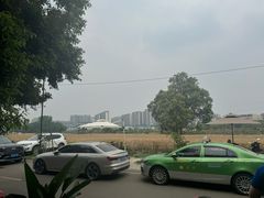 -土桥老街黄鸭子(清淳家园店)