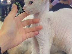 -成都银泰城