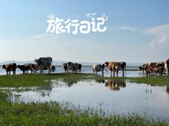 -呼伦贝尔大草原