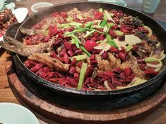-老板恋上鱼(振华商厦店)
