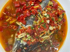 -全乐鱼馆·淳牌有机鱼直营店