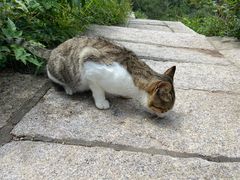 -崂山巨峰游览区
