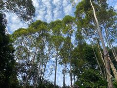 -罗浮山嘉宝田森林温泉度假酒店