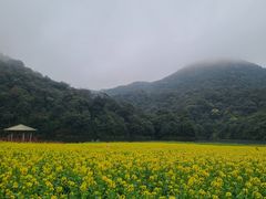 -广州市石门国家森林公园