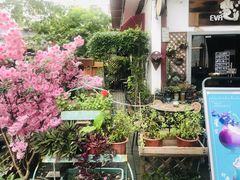 -EVA咖啡小酒馆