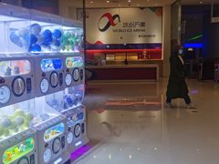 -冰纷万象滑冰场(二七万象城店)